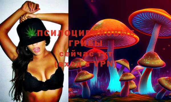 дживик Аркадак