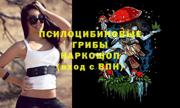 твердый Армянск