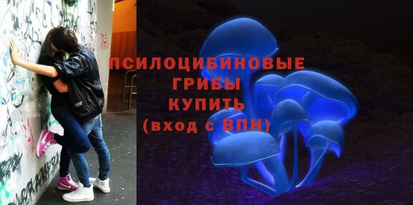дживик Аркадак